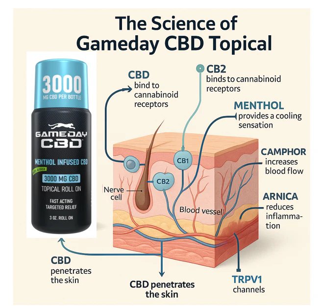 Modern clinic consultation discussing cbd expert insights for pain management with athletes