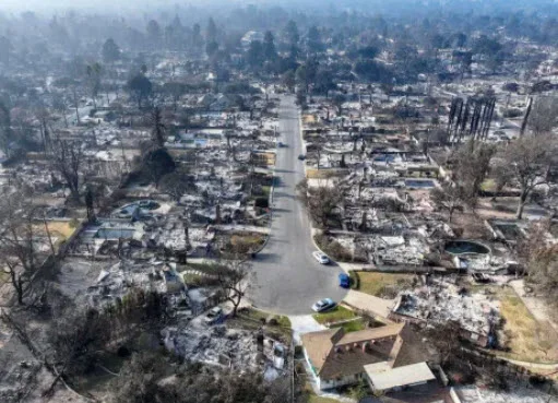 Sleek contemporary steel frame home highlighting steel frame home resilience surrounded by greenery in a sunny Californian neighborhood